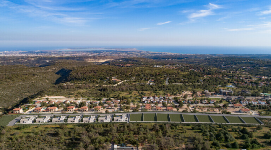 section catalog photo