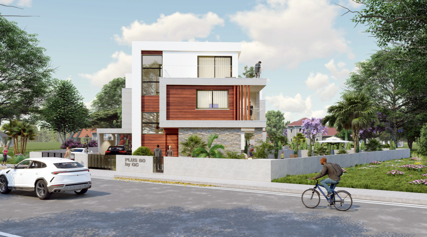 section catalog photo