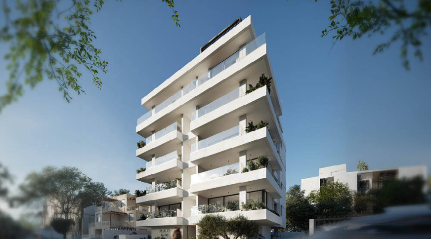 section catalog photo