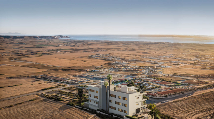 section catalog photo