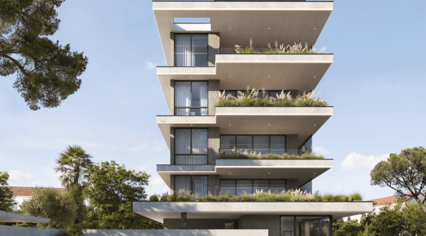 section catalog photo