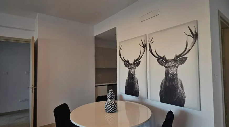 section catalog photo