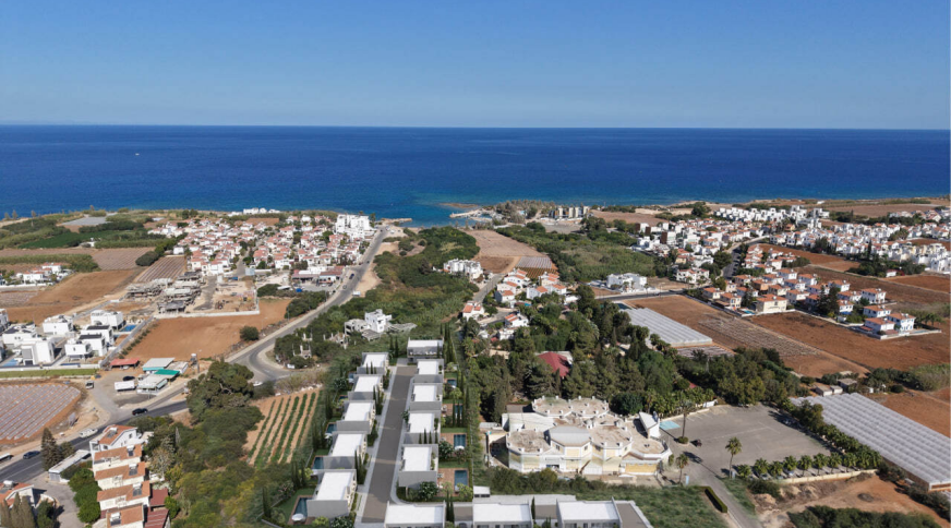 section catalog photo