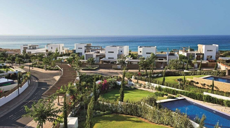 section catalog photo