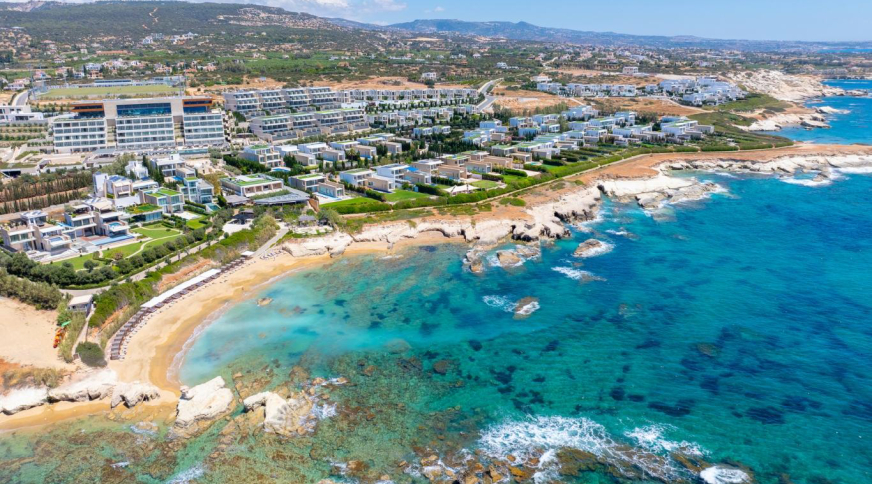 section catalog photo