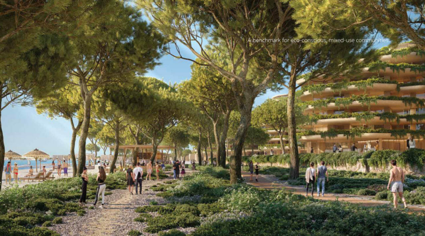 section catalog photo