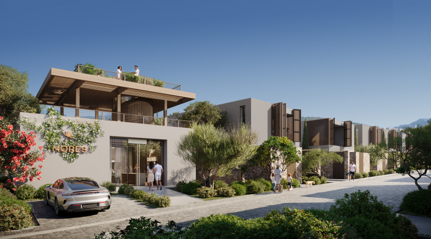 section catalog photo