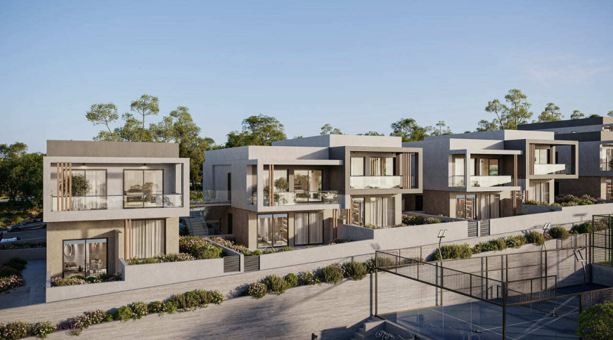 section catalog photo