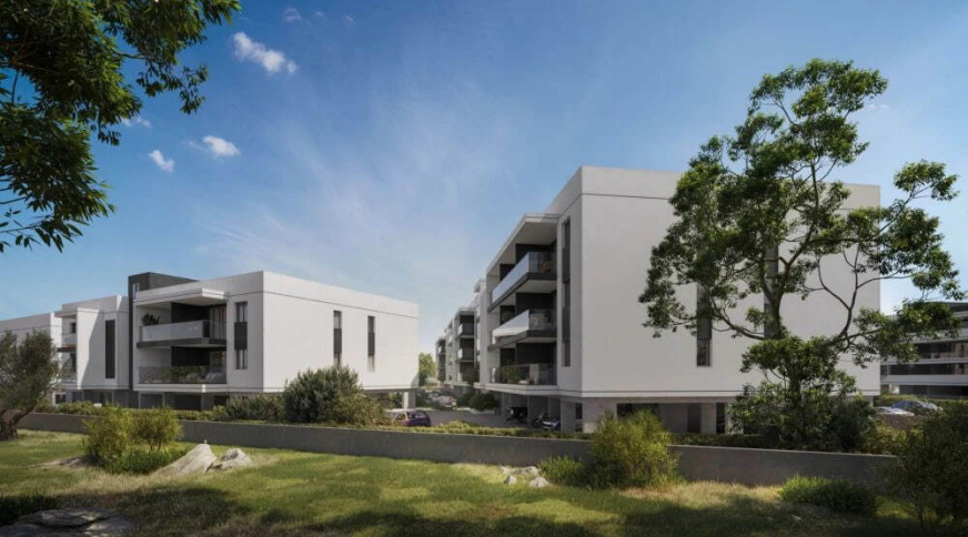 section catalog photo