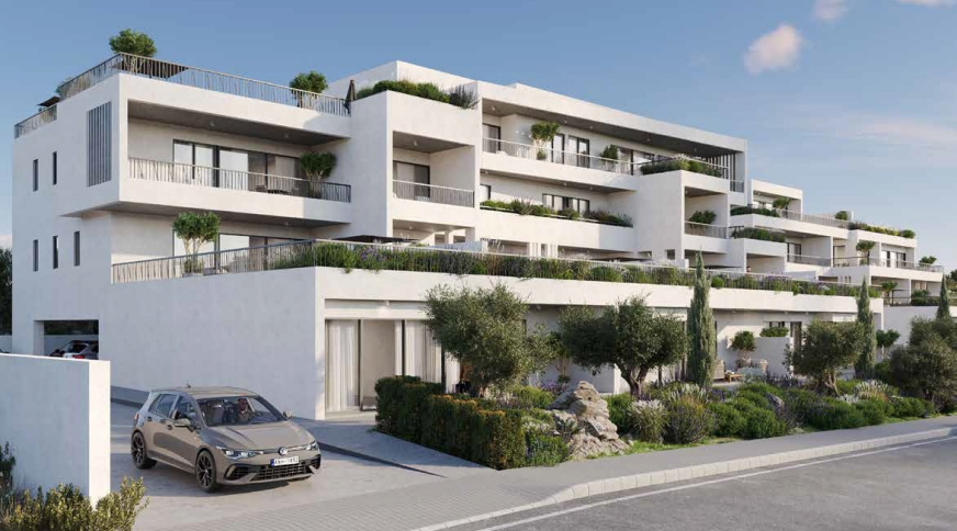 section catalog photo