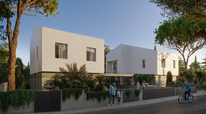 section catalog photo