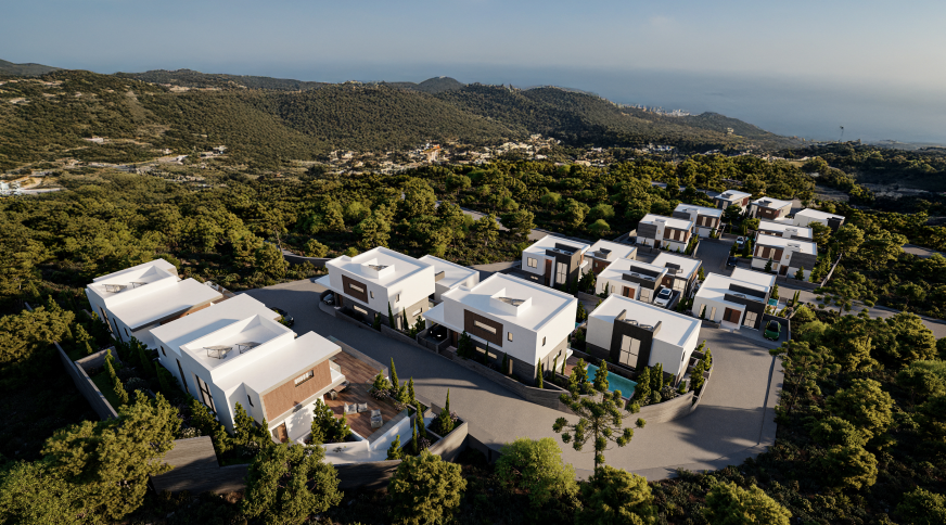 section catalog photo