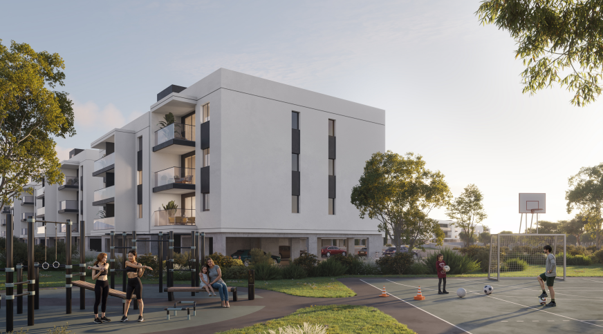 section catalog photo