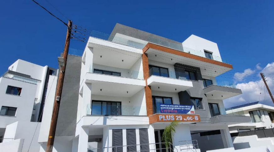 section catalog photo