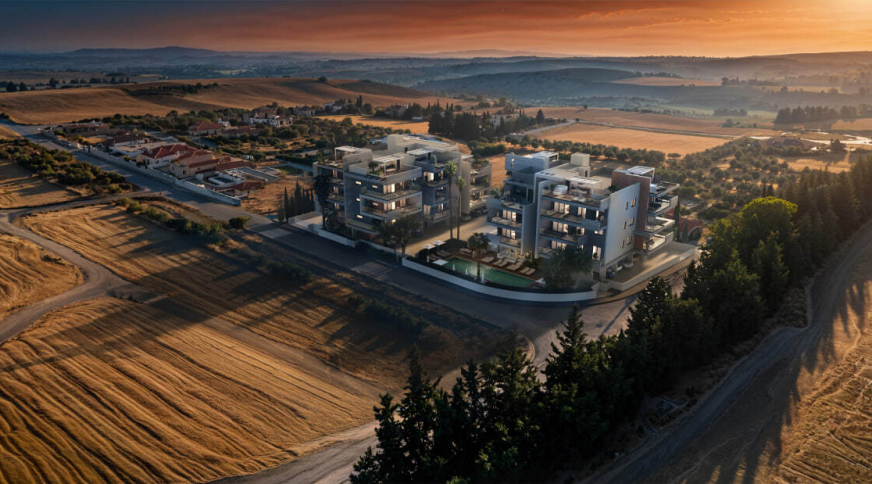 section catalog photo