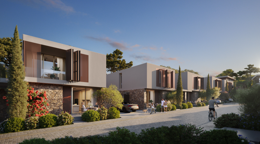 section catalog photo