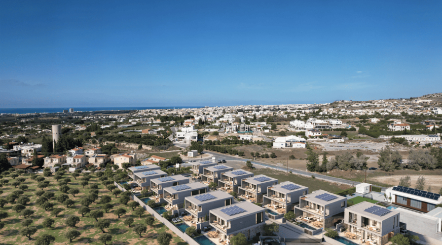 section catalog photo