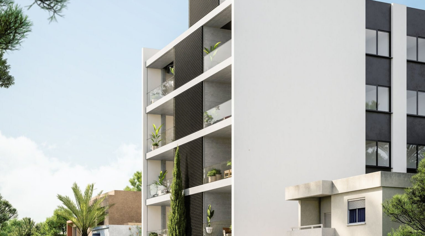 section catalog photo