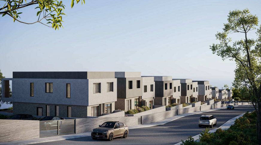 section catalog photo