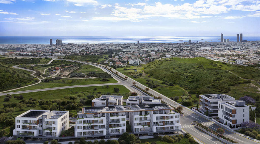 section catalog photo