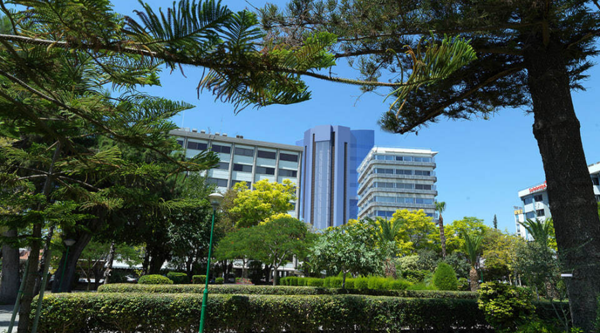 section catalog photo