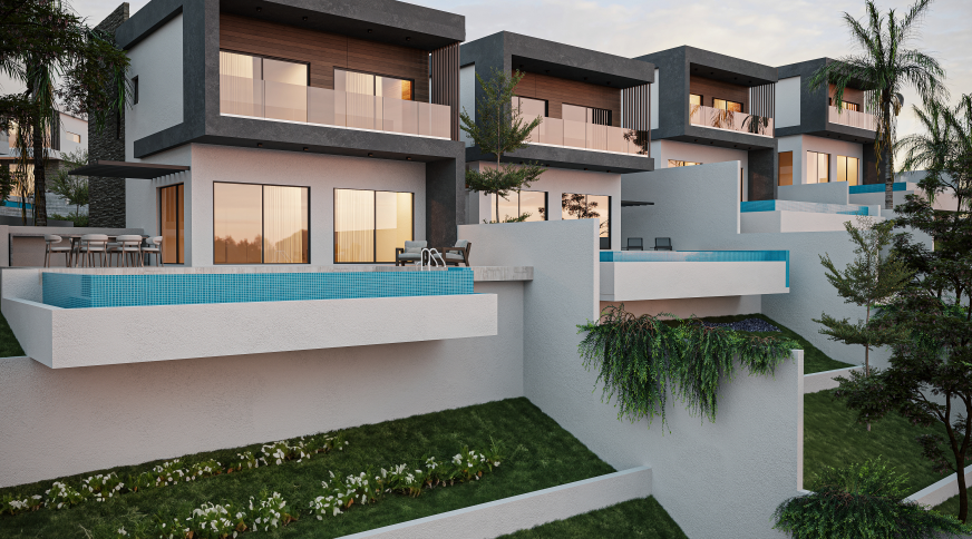 section catalog photo