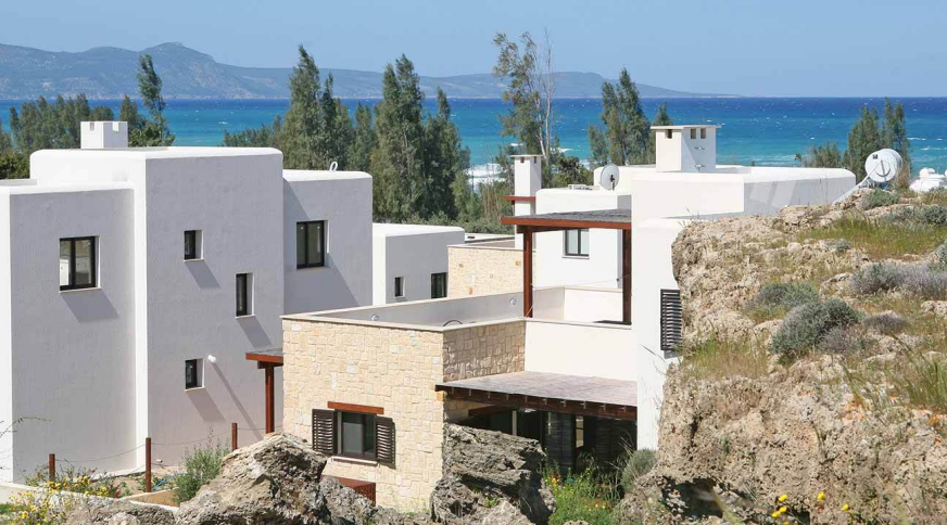 section catalog photo