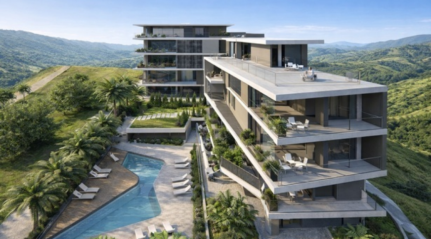 section catalog photo