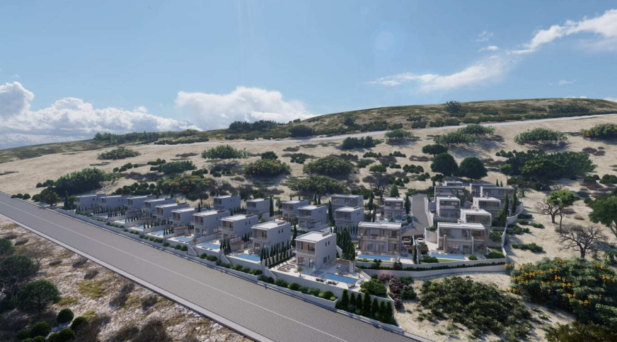 section catalog photo