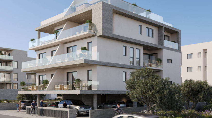 section catalog photo