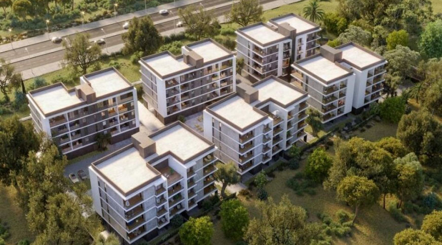 section catalog photo