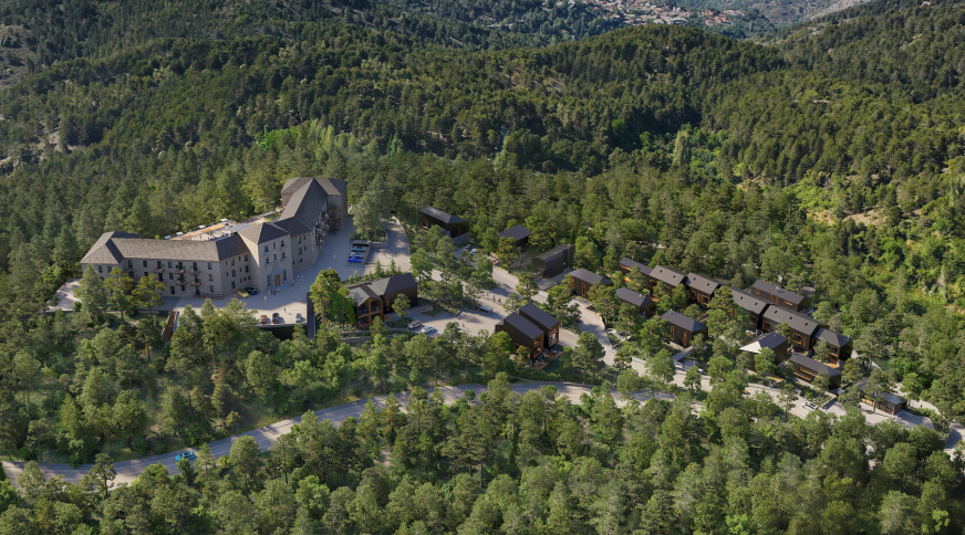 section catalog photo