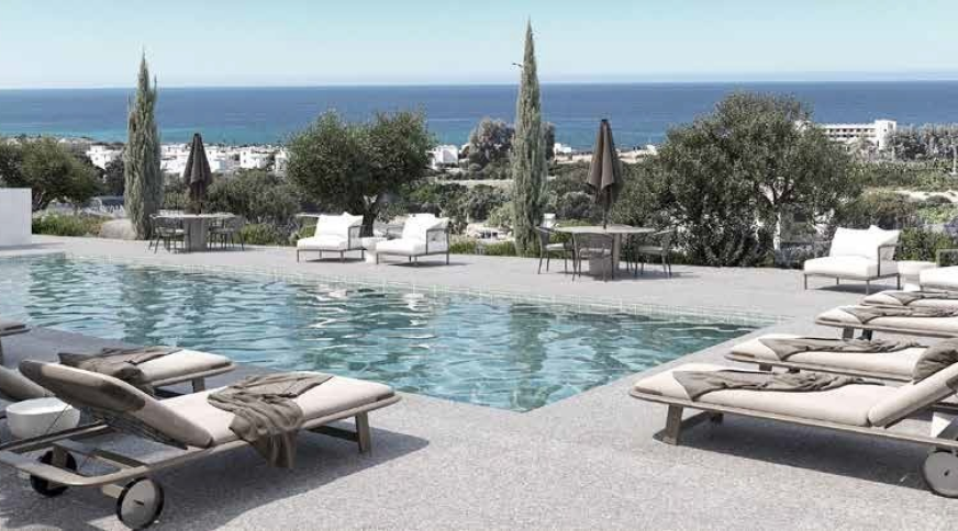 section catalog photo