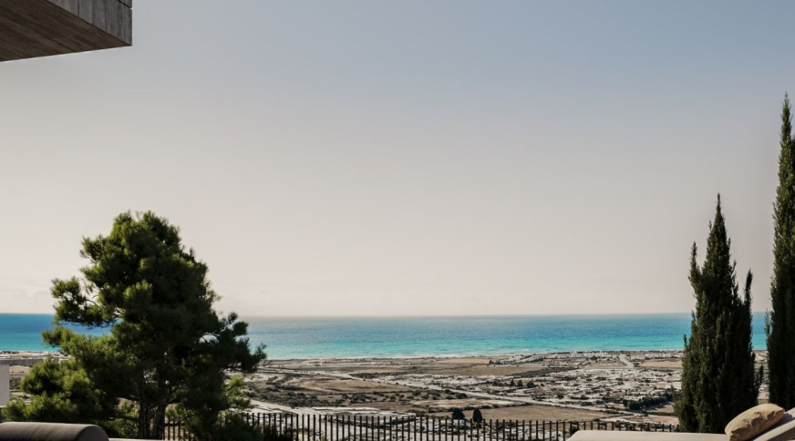 section catalog photo