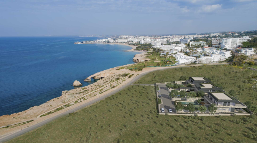 section catalog photo