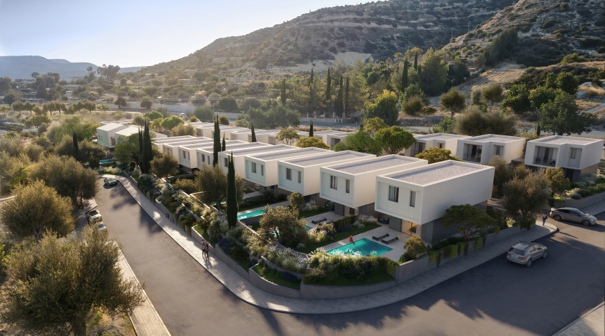 section catalog photo