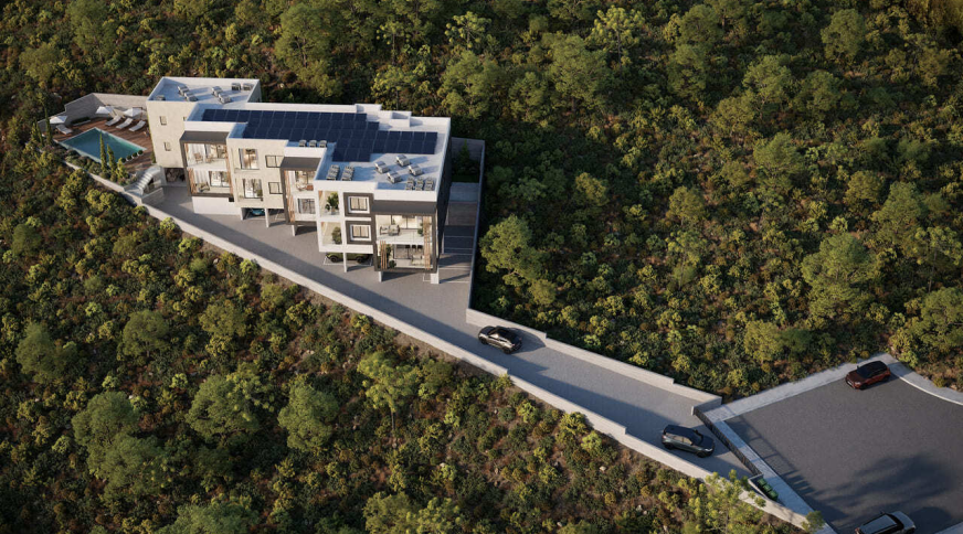 section catalog photo