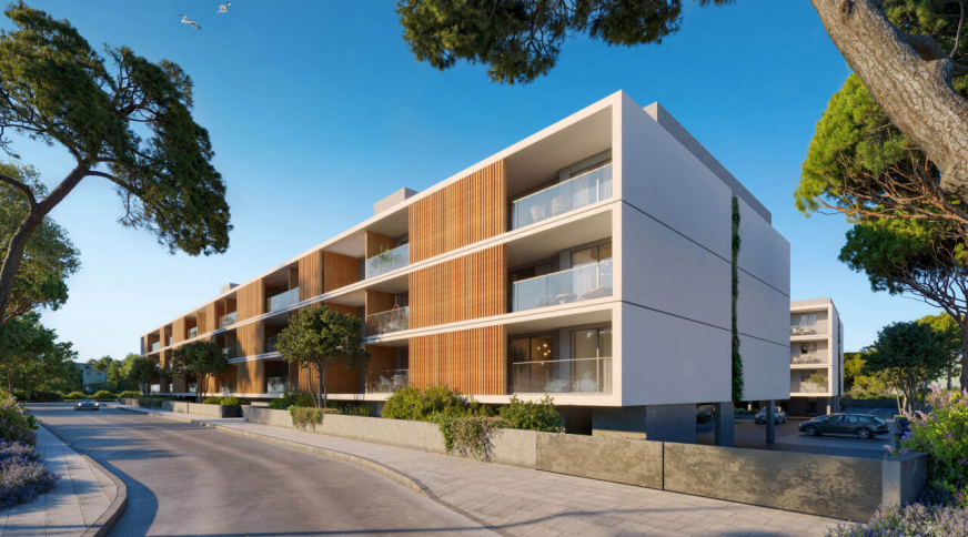 section catalog photo