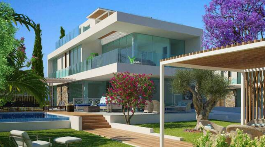 section catalog photo