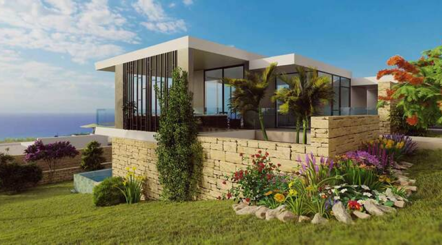 section catalog photo