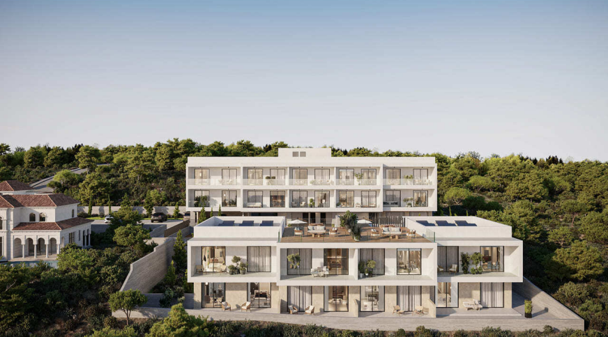 section catalog photo