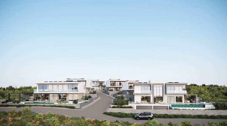 section catalog photo