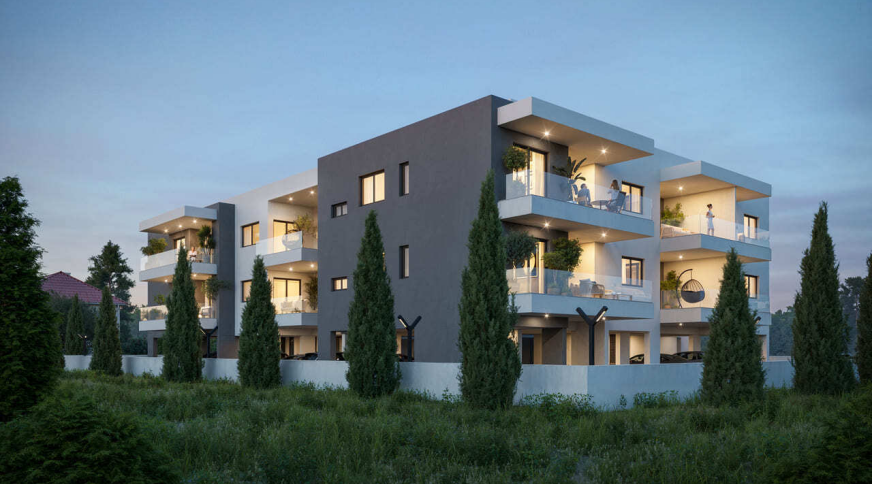 section catalog photo