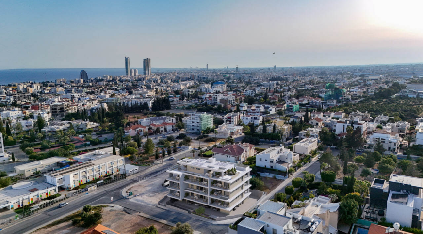 section catalog photo