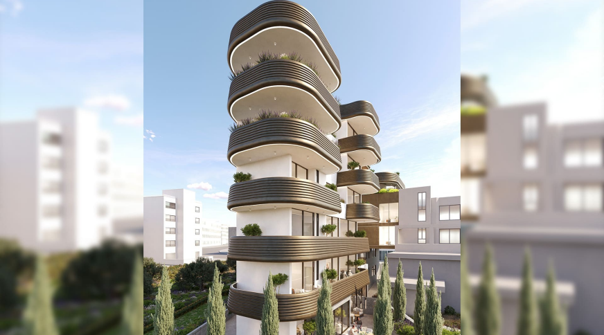 section catalog photo