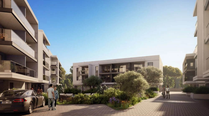 section catalog photo