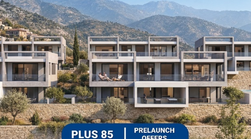 section catalog photo