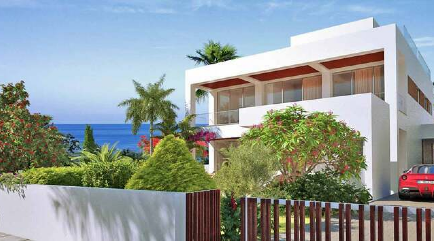 section catalog photo