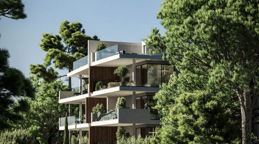 section catalog photo