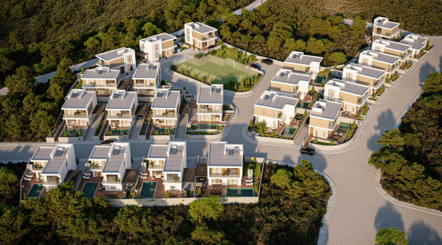 section catalog photo